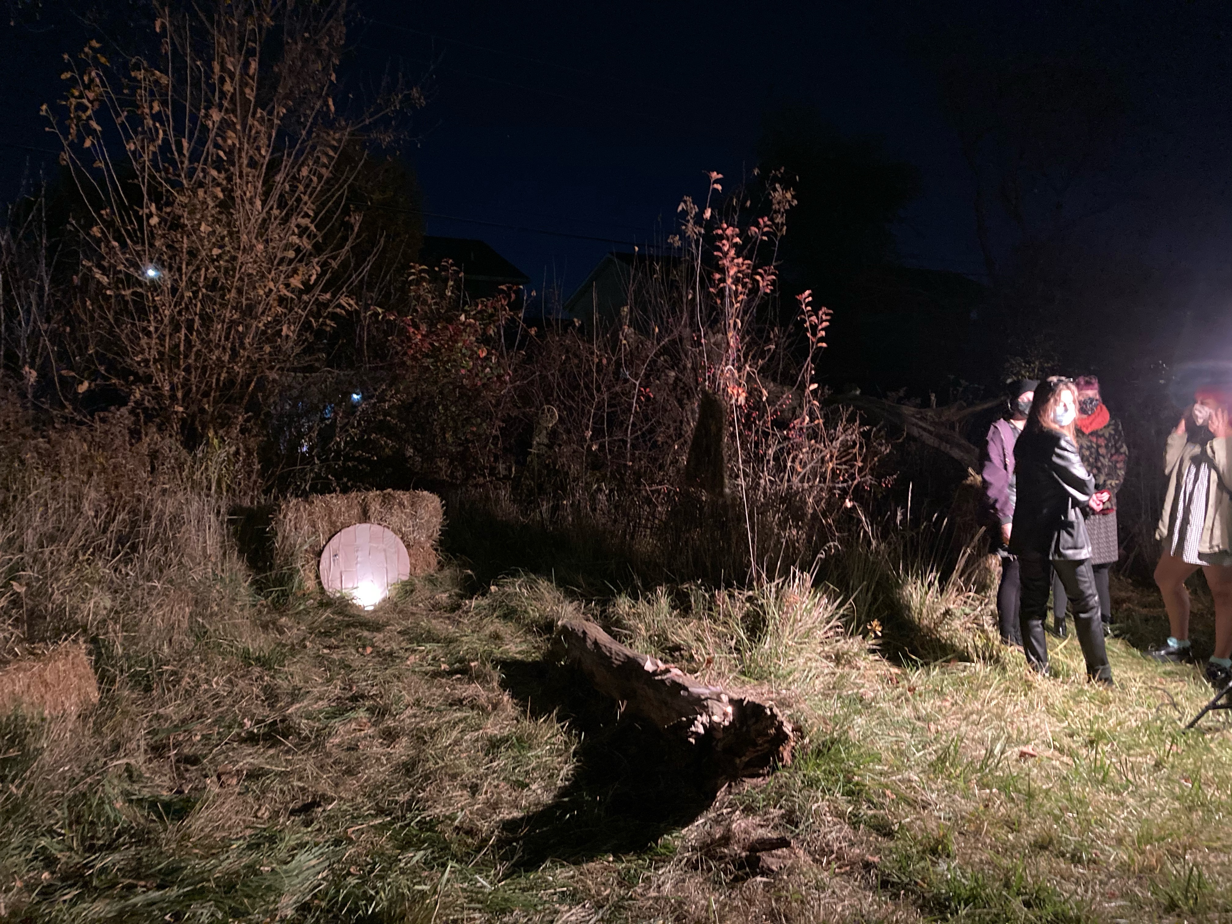 ISawSomethingInTheFields.LydiaKuzak,